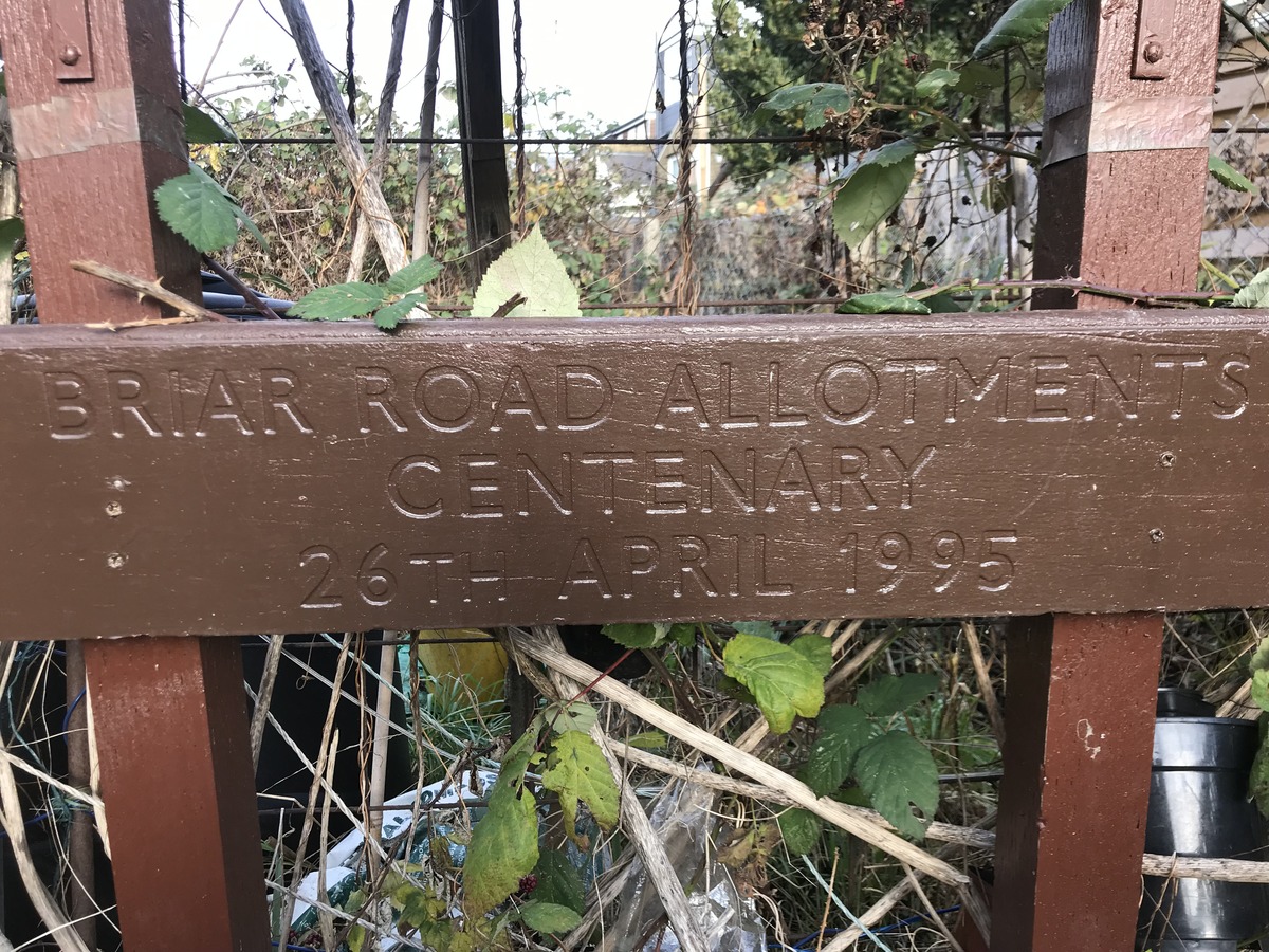 Briar Road Centenary